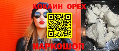 индика Новозыбков