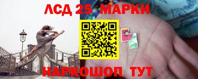 индика Новозыбков