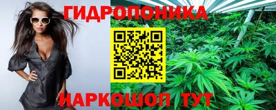 индика Новозыбков