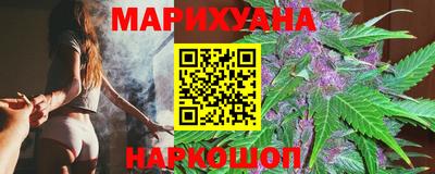 индика Новозыбков