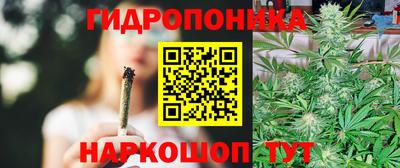 индика Новозыбков