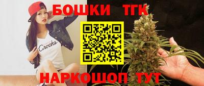 индика Новозыбков