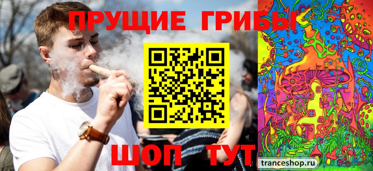 Оренбург  Галлюциногенные грибы прущие грибы  Вход с VPN 